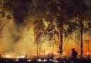 Alarma en Corrientes: el fuego está llegando muy cerca de las viviendas