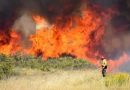 Corrientes, Río Negro, Misiones y Córdoba registran focos activos de incendios