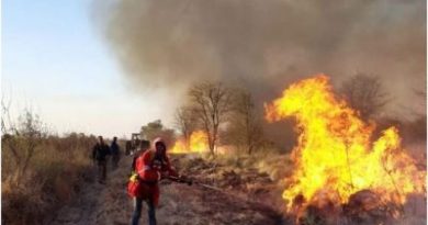 Chaco| Cambio Climático: Temperaturas extremas, sequía y emergencia por incendios en toda la provincia