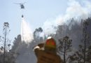 VIDEO ||| Alerta: ya son más de 2.000 las hectáreas quemadas en el Parque Nacional Los Alerces